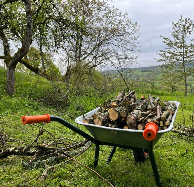 Eine Schubkarre voller Holzscheite steht im Freien. Im Hintergrund sieht man Bäume und eine Hügellandschaft.